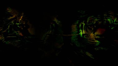 modern şablon çalışmaları, manipülasyon arka planı, photoshop manipülasyonu, resim arkaplanı, soyut arkaplan, tuval dokusu soyut, yazıcı tasarımı desenleri