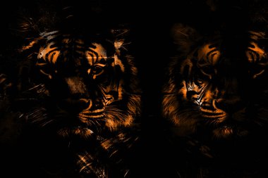 modern şablon çalışmaları, manipülasyon arka planı, photoshop manipülasyonu, resim arkaplanı, soyut arkaplan, tuval dokusu soyut, yazıcı tasarımı desenleri