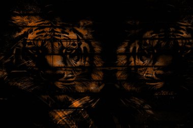 modern şablon çalışmaları, manipülasyon arka planı, photoshop manipülasyonu, resim arkaplanı, soyut arkaplan, tuval dokusu soyut, yazıcı tasarımı desenleri