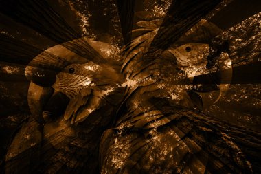 modern şablon çalışmaları, manipülasyon arka planı, photoshop manipülasyonu, resim arkaplanı, soyut arkaplan, tuval dokusu soyut, yazıcı tasarımı desenleri