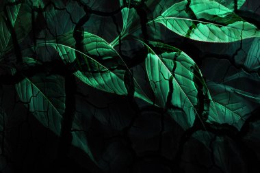 modern şablon çalışmaları, manipülasyon arka planı, photoshop manipülasyonu, resim arkaplanı, soyut arkaplan, tuval dokusu soyut, yazıcı tasarımı desenleri