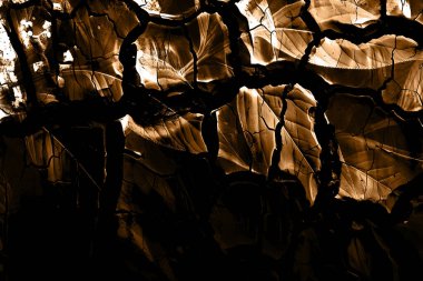 modern şablon çalışmaları, manipülasyon arka planı, photoshop manipülasyonu, resim arkaplanı, soyut arkaplan, tuval dokusu soyut, yazıcı tasarımı desenleri