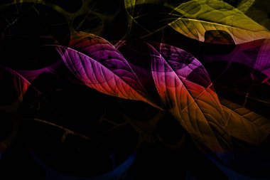 modern şablon çalışmaları, manipülasyon arka planı, photoshop manipülasyonu, resim arkaplanı, soyut arkaplan, tuval dokusu soyut, yazıcı tasarımı desenleri