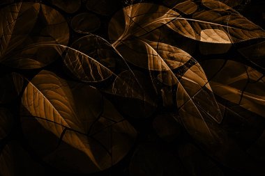 modern şablon çalışmaları, manipülasyon arka planı, photoshop manipülasyonu, resim arkaplanı, soyut arkaplan, tuval dokusu soyut, yazıcı tasarımı desenleri