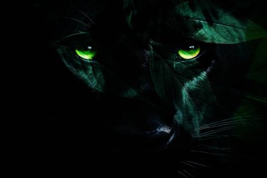 modern şablon çalışmaları, manipülasyon arka planı, photoshop manipülasyonu, resim arkaplanı, soyut arkaplan, tuval dokusu soyut, yazıcı tasarımı desenleri