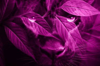 modern şablon çalışmaları, manipülasyon arka planı, photoshop manipülasyonu, resim arkaplanı, soyut arkaplan, tuval dokusu soyut, yazıcı tasarımı desenleri