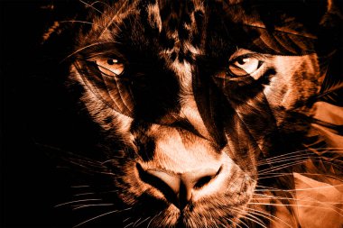 modern şablon çalışmaları, manipülasyon arka planı, photoshop manipülasyonu, resim arkaplanı, soyut arkaplan, tuval dokusu soyut, yazıcı tasarımı desenleri