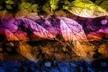 modern şablon çalışmaları, manipülasyon arka planı, photoshop manipülasyonu, resim arkaplanı, soyut arkaplan, tuval dokusu soyut, yazıcı tasarımı desenleri