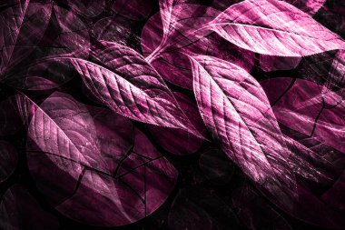 modern şablon çalışmaları, manipülasyon arka planı, photoshop manipülasyonu, resim arkaplanı, soyut arkaplan, tuval dokusu soyut, yazıcı tasarımı desenleri