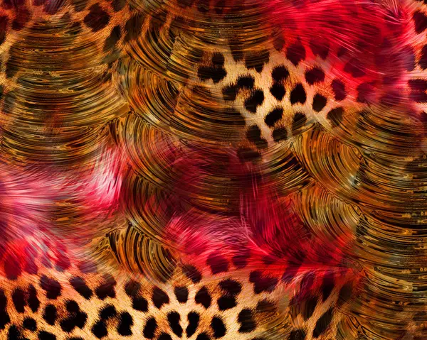 modern şablon çalışmaları, manipülasyon arka planı, photoshop manipülasyonu, resim arkaplanı, soyut arkaplan, tuval dokusu soyut, yazıcı tasarımı desenleri