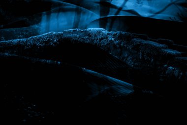 modern şablon çalışmaları, manipülasyon arka planı, photoshop manipülasyonu, resim arkaplanı, soyut arkaplan, tuval dokusu soyut, yazıcı tasarımı desenleri