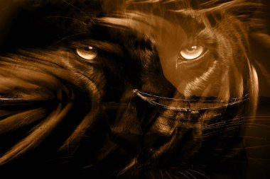 modern şablon çalışmaları, manipülasyon arka planı, photoshop manipülasyonu, resim arkaplanı, soyut arkaplan, tuval dokusu soyut, yazıcı tasarımı desenleri