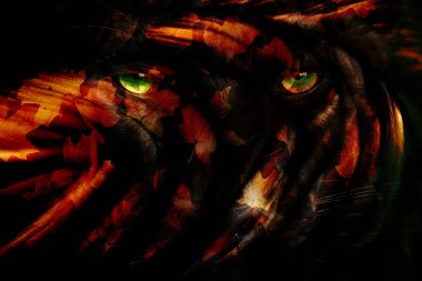 modern şablon çalışmaları, manipülasyon arka planı, photoshop manipülasyonu, resim arkaplanı, soyut arkaplan, tuval dokusu soyut, yazıcı tasarımı desenleri