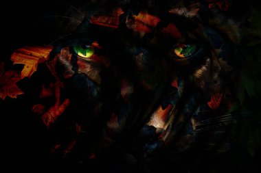 modern şablon çalışmaları, manipülasyon arka planı, photoshop manipülasyonu, resim arkaplanı, soyut arkaplan, tuval dokusu soyut, yazıcı tasarımı desenleri