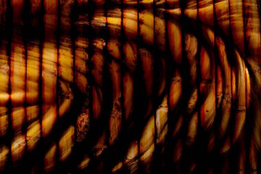 modern şablon çalışmaları, manipülasyon arka planı, photoshop manipülasyonu, resim arkaplanı, soyut arkaplan, tuval dokusu soyut, yazıcı tasarımı desenleri