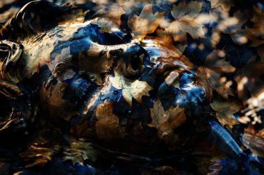 modern şablon çalışmaları, manipülasyon arka planı, photoshop manipülasyonu, resim arkaplanı, soyut arkaplan, tuval dokusu soyut, yazıcı tasarımı desenleri