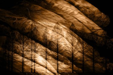 modern şablon çalışmaları, manipülasyon arka planı, photoshop manipülasyonu, resim arkaplanı, soyut arkaplan, tuval dokusu soyut, yazıcı tasarımı desenleri