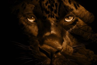 modern şablon çalışmaları, manipülasyon arka planı, photoshop manipülasyonu, resim arkaplanı, soyut arkaplan, tuval dokusu soyut, yazıcı tasarımı desenleri