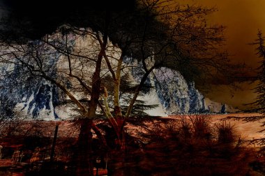 modern şablon çalışmaları, manipülasyon arka planı, photoshop manipülasyonu, resim arkaplanı, soyut arkaplan, tuval dokusu soyut, yazıcı tasarımı desenleri