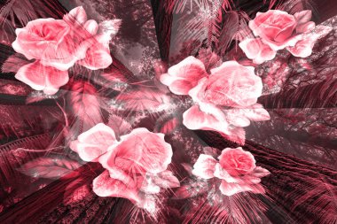 baskı tasarımları, renkli tasarımlar, tekstil kumaş baskıları