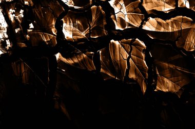 baskı tasarımları, renkli tasarımlar, tekstil kumaş baskıları