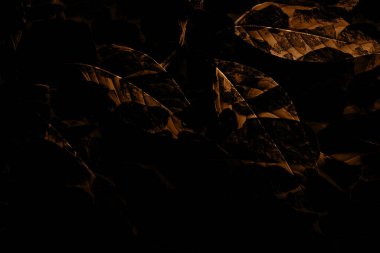 baskı tasarımları, renkli tasarımlar, tekstil kumaş baskıları