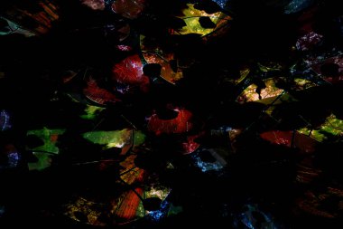 baskı tasarımları, renkli tasarımlar, tekstil kumaş baskıları