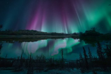 baskı tasarımları, renkli tasarımlar, tekstil kumaş baskıları
