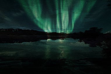 baskı tasarımları, renkli tasarımlar, tekstil kumaş baskıları