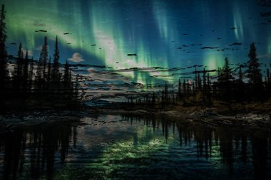 baskı tasarımları, renkli tasarımlar, tekstil kumaş baskıları