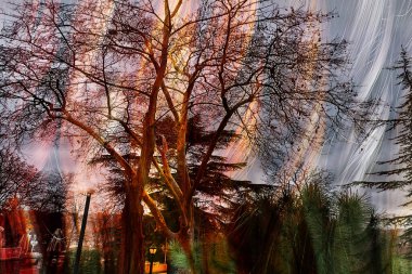 baskı tasarımları, renkli tasarımlar, tekstil kumaş baskıları