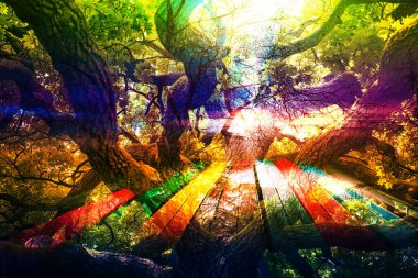 baskı tasarımları, renkli tasarımlar, tekstil kumaş baskıları