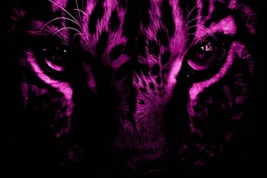 baskı tasarımları, renkli tasarımlar, tekstil kumaş baskıları