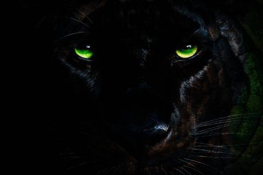 baskı tasarımları, renkli tasarımlar, tekstil kumaş baskıları