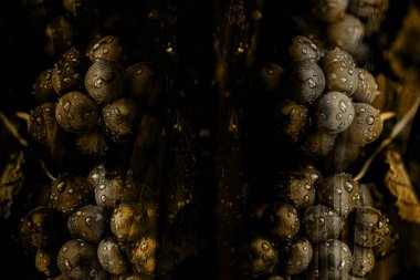 Soyut grunge arkaplan olarak eski doku. Soyut ve zarif desenli, güzel ipek eşarp desenli desen tasarımı. Aksesuarlar için dizayn başörtüsü, fular, bandana, kumaş, moda, şal, duvar kağıdı.