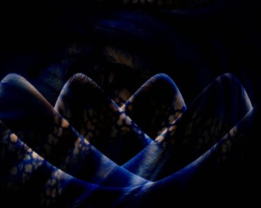 Soyut grunge arkaplan olarak eski doku. Soyut ve zarif desenli, güzel ipek eşarp desenli desen tasarımı. Aksesuarlar için dizayn başörtüsü, fular, bandana, kumaş, moda, şal, duvar kağıdı.