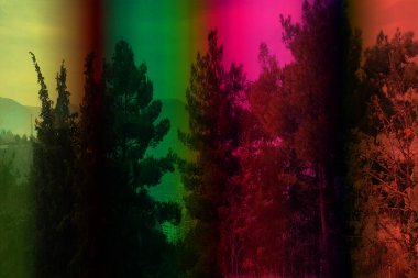 Soyut grunge arkaplan olarak eski doku. Soyut ve zarif desenli, güzel ipek eşarp desenli desen tasarımı. Aksesuarlar için dizayn başörtüsü, fular, bandana, kumaş, moda, şal, duvar kağıdı.