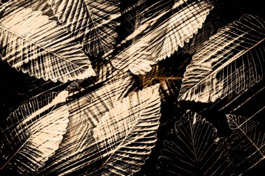 Soyut grunge arkaplan olarak eski doku. Soyut ve zarif desenli, güzel ipek eşarp desenli desen tasarımı. Aksesuarlar için dizayn başörtüsü, fular, bandana, kumaş, moda, şal, duvar kağıdı.