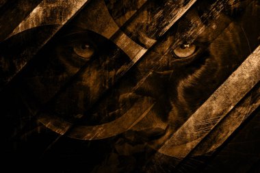 Soyut grunge arkaplan olarak eski doku. Soyut ve zarif desenli, güzel ipek eşarp desenli desen tasarımı. Aksesuarlar için dizayn başörtüsü, fular, bandana, kumaş, moda, şal, duvar kağıdı.