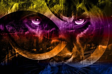 Soyut grunge arkaplan olarak eski doku. Soyut ve zarif desenli, güzel ipek eşarp desenli desen tasarımı. Aksesuarlar için dizayn başörtüsü, fular, bandana, kumaş, moda, şal, duvar kağıdı.