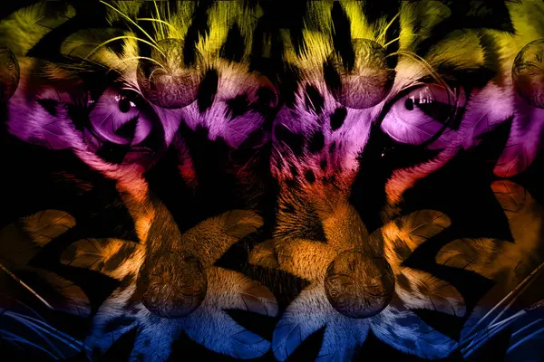 Soyut grunge arkaplan olarak eski doku. Soyut ve zarif desenli, güzel ipek eşarp desenli desen tasarımı. Aksesuarlar için dizayn başörtüsü, fular, bandana, kumaş, moda, şal, duvar kağıdı.