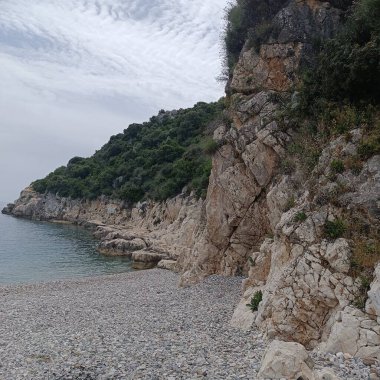 Antik Roma amfiteatı, parktaki ağaç