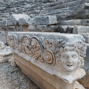 Antik Roma amfiteatı, parktaki ağaç