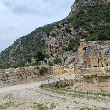 Antik Roma amfiteatı, parktaki ağaç