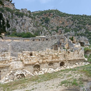 Antik Roma amfiteatı, parktaki ağaç