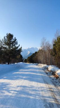 Karlı kış manzarası