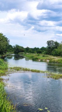 Göl ve orman, ormandaki göl.