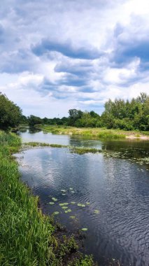 Göl ve orman, ormandaki göl.