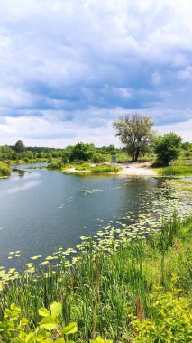 Göl ve orman, ormandaki göl.