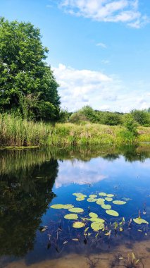 Göl ve orman, ormandaki göl.